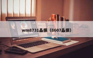 wm8731晶振（8607晶振）